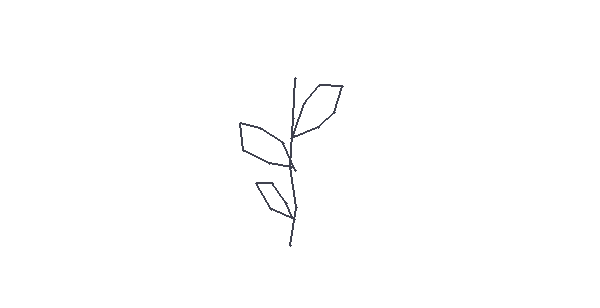A drawing by Maya